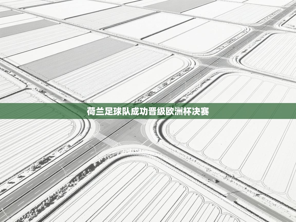 开云体育英文版入口-荷兰足球队成功晋级欧洲杯决赛