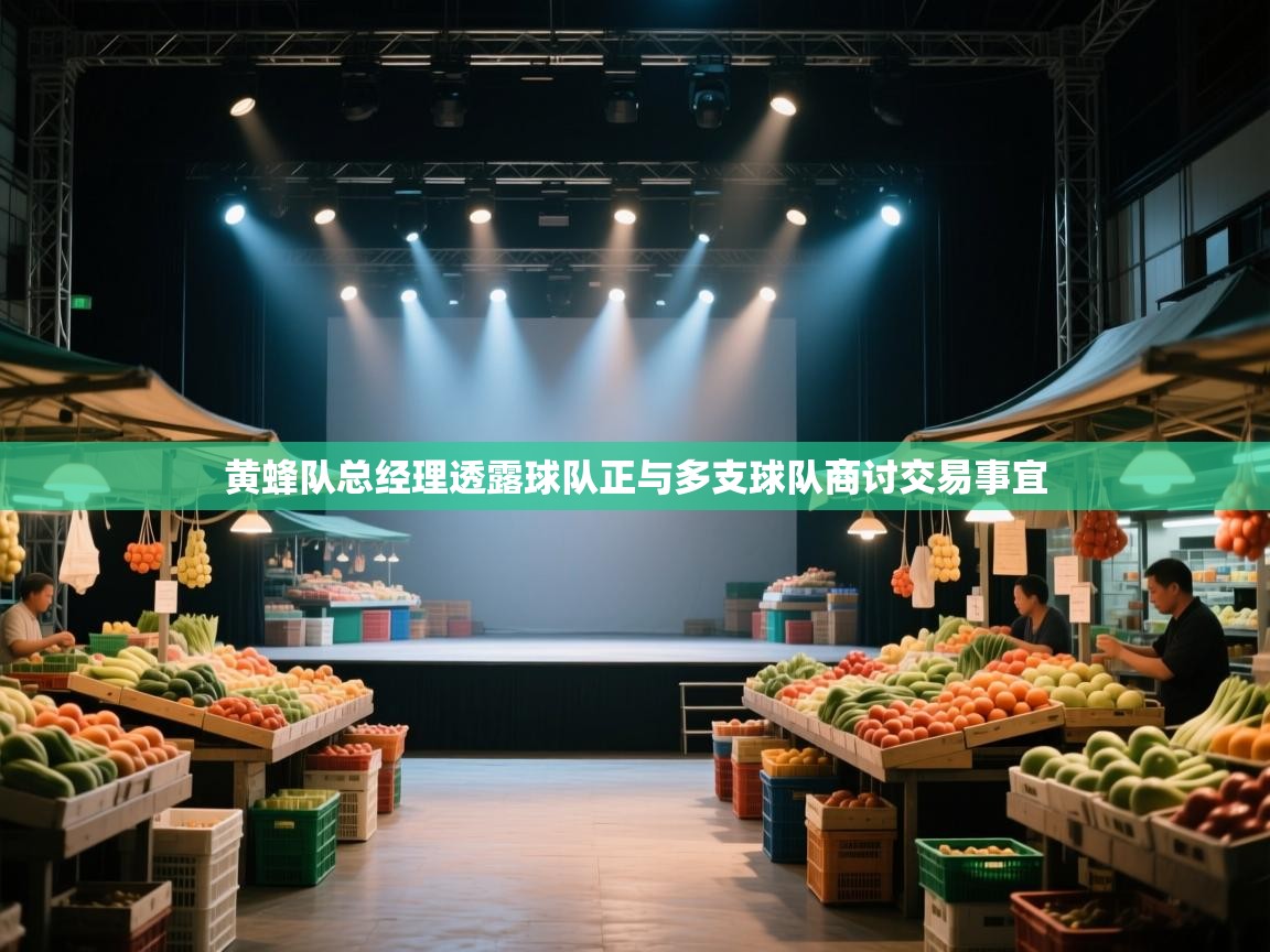 开云体育app官网-黄蜂队总经理透露球队正与多支球队商讨交易事宜  第3张