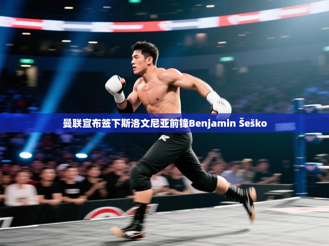 开云体育app评价-曼联宣布签下斯洛文尼亚前锋Benjamin Šeško  第1张