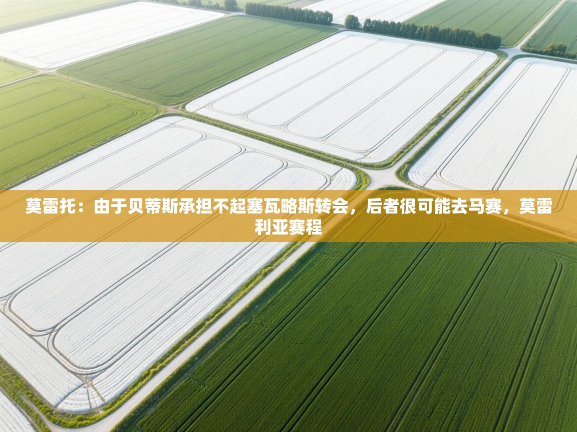 开云体育入口-莫雷托:由于贝蒂斯承担不起塞瓦略斯转会,后者很可能去马赛,莫雷利亚赛程 第2张