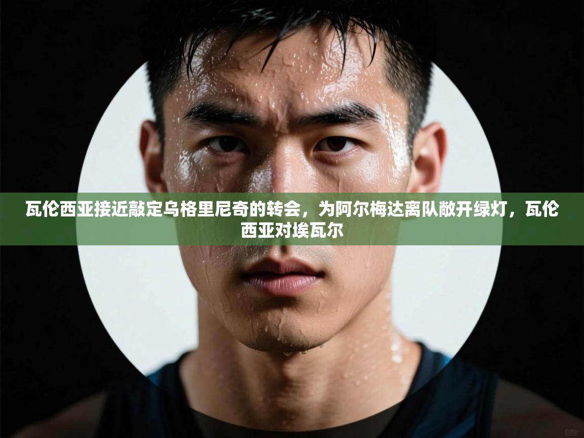 开云体育app下载安装免费-瓦伦西亚接近敲定乌格里尼奇的转会，为阿尔梅达离队敞开绿灯，瓦伦西亚对埃瓦尔