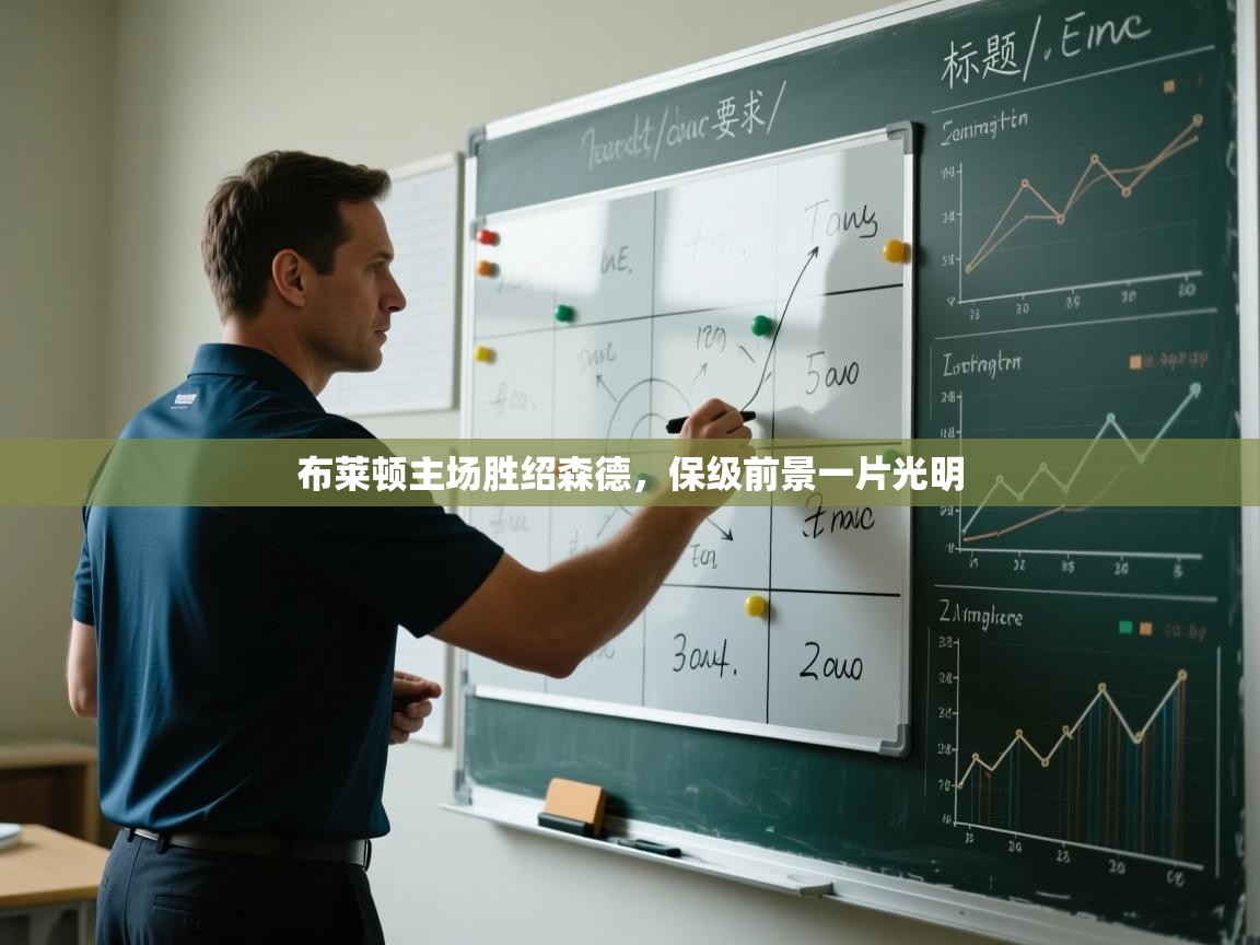 开云体育在线入口-布莱顿主场胜绍森德,保级前景一片光明 第4张