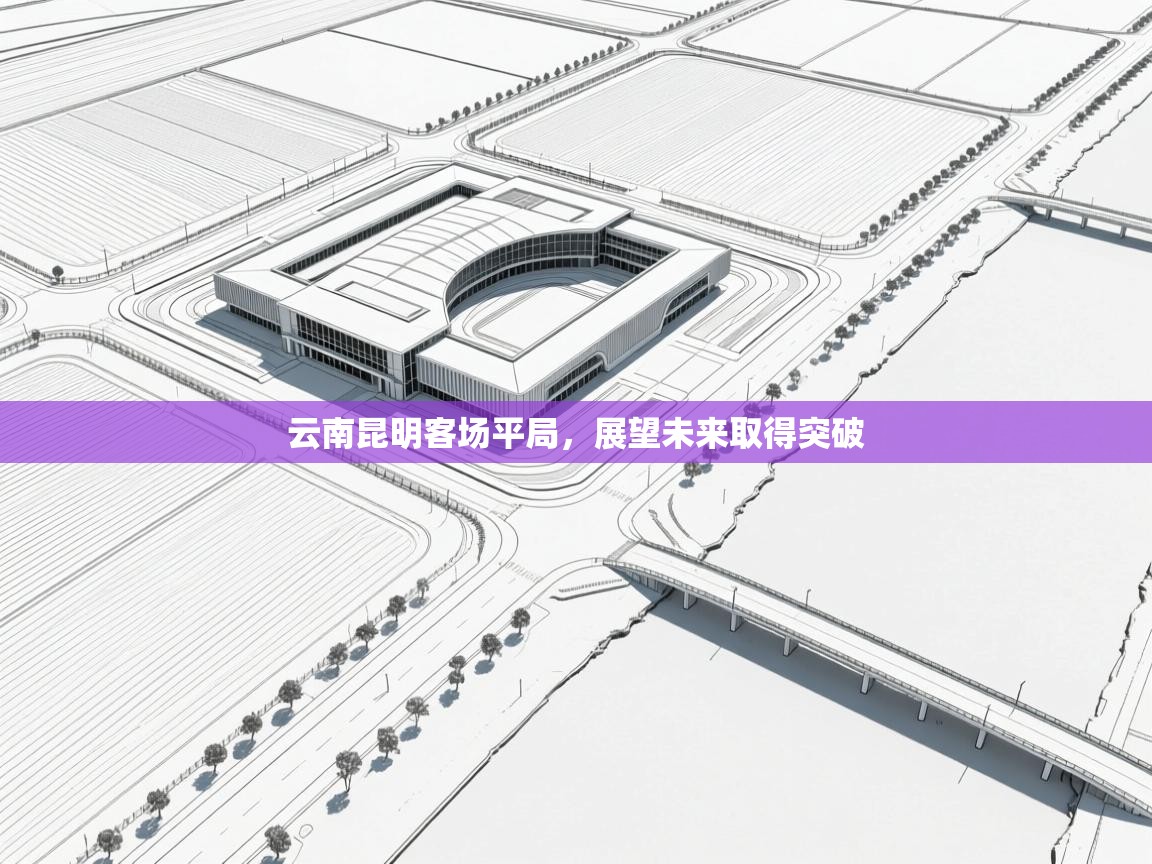 开云体育入口手机版-云南昆明客场平局，展望未来取得突破  第3张