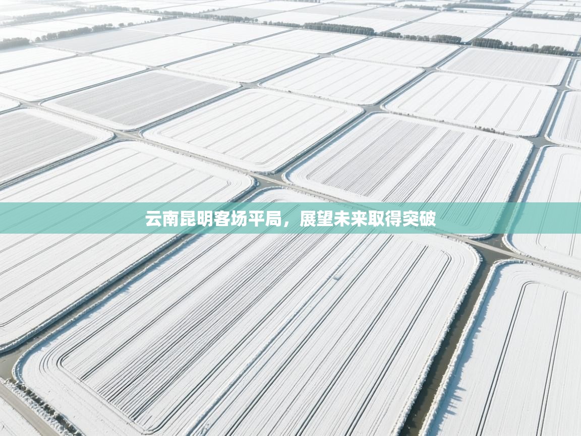 开云体育入口手机版-云南昆明客场平局，展望未来取得突破  第4张