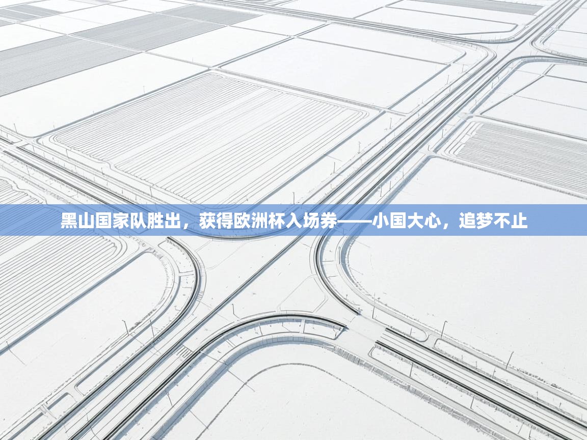 开云邀请码-黑山国家队胜出，获得欧洲杯入场券——小国大心，追梦不止  第4张