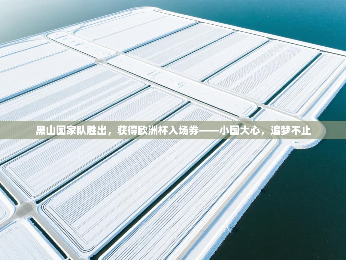 开云邀请码-黑山国家队胜出，获得欧洲杯入场券——小国大心，追梦不止  第3张